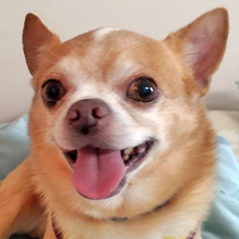 250307-02 スマイル